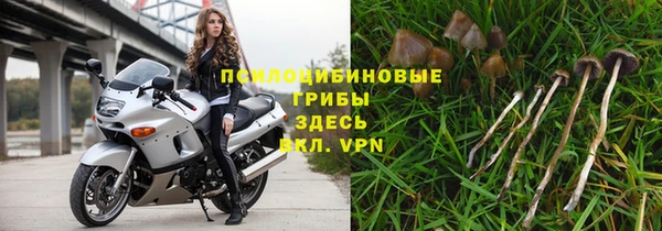крисы Алексин