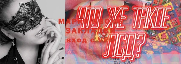 ПСИЛОЦИБИНОВЫЕ ГРИБЫ Алзамай