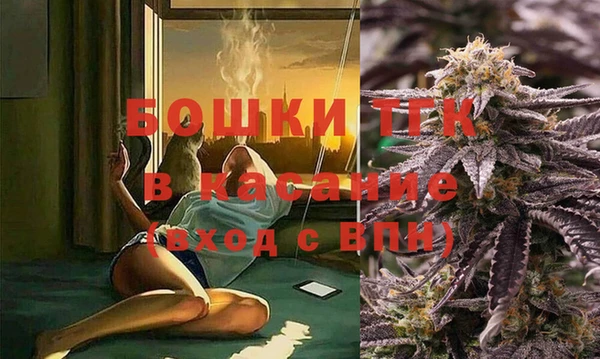 крисы Алексин