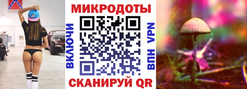 Купить закладки  Губкинский  Псилоцибиновые грибы Magic Shrooms 
