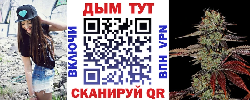 Бошки Шишки Amnesia  Купить где  Губкинский 